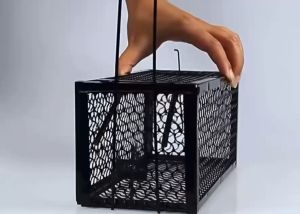 กรงดักหนูสปริง โครงหนา กรงดักหนู กรงดักหนูแบบมีโครง กรงดักหนูสปริงคู่ กรงดักหนูนา กรงดักหนูเล็ก