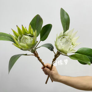 Modern Minimalist Artificial Flowers Fig Leaf Pink King Protea Living Room Coffee Table Decor Sample Room Fake Flowers