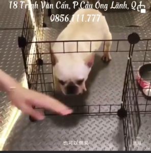 Chuồng mèo nhà cho mèo siêu rộng để được khay cát bên trong lồng mèo lắp ghép đa năng