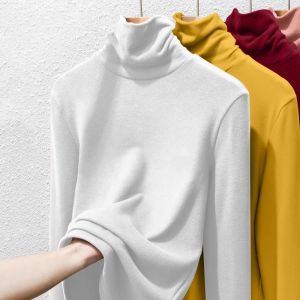 Wine Red Thermal Padded Turtleneck Sweater