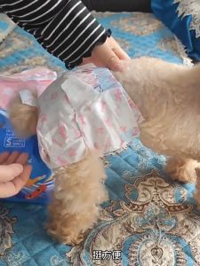 YTL  ผ้าอ้อมสุนัขสัตว์เลี้ยงกางเกงสรีรวิทยาผ้าอนามัยสุนัขหญิงแบบใช้แล้วทิ้งผ้าอนามัยสัตว์เลี้ยงผ้าอ้อมสุนัขชาย