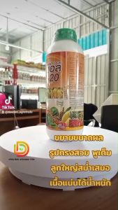 ปุ๋ยน้ำ 10-5-20 ออปตอล 1 ลิตร สูตรบำรุงผล เร่งแป้งและน้ำตาล ขยายผล ต้นไม่โทรม พืชสามารถนำไปใช้บำรุงส่วนต่างๆได้อย่างรวดเร็ว