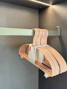 2025 New Thickened Non-Slip Wardrobe Balcony Dormitory Dry Wet Dual Purpose Storage Seamless Clothes Hanger Nordic Style ABS Hook