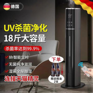 Large Capacity Floor Standing Air Purifying Humidifier Silent Bedroom Suitable for Pregnant Women And Infants Mist Generator