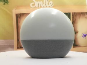 Wake Up Light Alarm Clock Sunrise/Sunset Simulation FM Radio Color Night Light White Noise Machine Bedside Clock for Home Decor