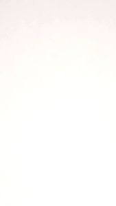 Aplikasi Bulu Ayam Jantan Panjang Hiasan Kepala