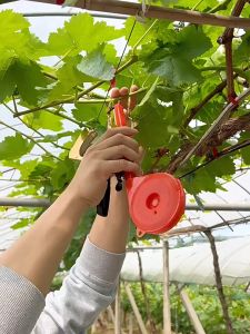 HOL Plant Tying Machine Garden Plant Tapener Plants Binding Machine For Vegetabl Grape Tomato Cucumber Pepper and Flower With 10 Rolls Of Tape and 1 Box Nail Minced Vegetable Tapetool Green