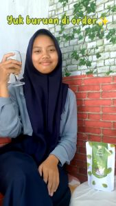 Obat Diabetes | Teh Daun Insulin Diabetes Obat Diabetes Herbal Ampuh Obat Gula Darah Tinggi