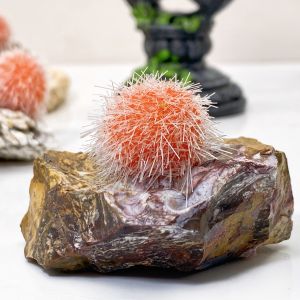 1pc Rare Zeolite Mineral SpecimenQuartz Cluster Stone Collectionfor Mardi Gras Day St. PatrickS Day Easter