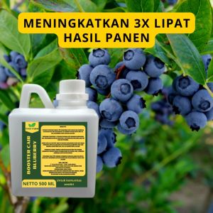 Pupuk Pelebat Bluberry / Pupuk Buah Bluberry / Pupuk Booster Buah Bluberry / Pupuk Buah Bluberry