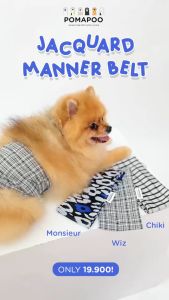 POMAPOO - Baju Kucing dan Baju Anjing Jacquard Menner Belt