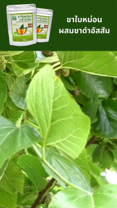 ชาใบหม่อนผสมชาดำอัสสัม ตราไร่กฤติยา (Mulberry Leaves Assam Black Blended Tea)