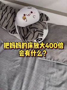 Mite Removal Anti-Mites Spray 300ml 日本除螨喷雾青花椒除味剂床上家用被子免洗宠物去祛螨虫除蝻喷雾