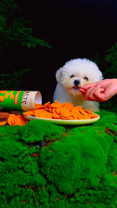 Pet Food Pet Meat Crispy Chips Duck / Chicken / Beef | 100% Real Meat | Low-Temp Air-Dried | Healthy Dog Snack Dogs Treats