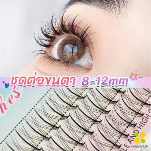 CLM DIY ชุดต่อขนตา 8-12 มม. ชุดมืออาชีพขนตาแต่งหน้า ใหม่สไตล์สาวเวียดนาม false eyelashes