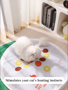 interactive Cat Hunting Play Mat Cat toy