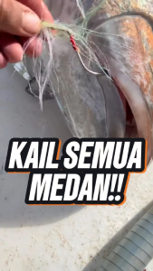 Extra Bonus | ASSIST HOOK FIRELOCK Comet