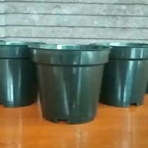 Pot Tinggi Srondol 10/pot bunga: Tips Memilih & Menggunakan