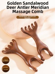Massage and Combing Scalp Massage Tool