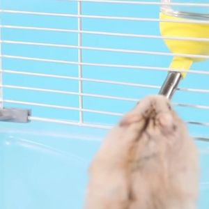 12pcs Hamster Water Feeder Bottle 89ml/125ml/250ml Pet Drinking Bottle Rabbit Can HangCage Drinker 4 Sizes