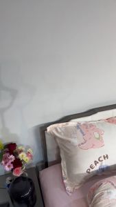 YANASEN BedSheet Set-Queen🔸5 in 1🔸 1200针(quilt type)(棉被款)Double bed sheet-100% Cotton (quilt type) 双人床单-100% Cotton