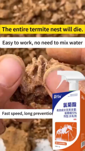 10 years without termites Termites Killer Spray 500ML Safe non-toxic and odorless Infectious death anti anay killer spray termites pesticide for wood anti termite termites treatment termites pest control anay pest control termite