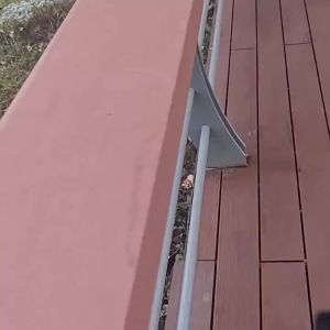 Super Bright Solar Wall LightOutdoor Waterproof Garden Flood Light w/Dusk to Dawn SensorCommercial & Home Area LightingPatio