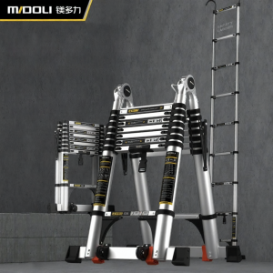 BONINGYU | Extendable Foldable Multi-functional Ladder
