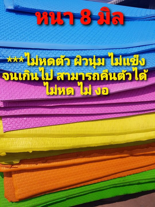 แผ่นยาง Eve กันลื่น ปูพื้นสุนัข หนา 8 มิล