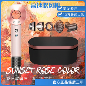 Deciduous Rose Hair Saloon Dedicated High-Speed Hair Dryer Salon Special Wind Hair Care Hair Dryer