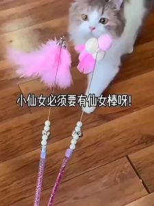 Cat Teaser Cat Toy Wand Teaser Fun Toy Pet Toy interactive Cat Toy Training Teaser