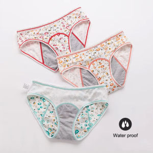 Physiological Period Leak Proof Menstrual Panties Underwear for Girls Women