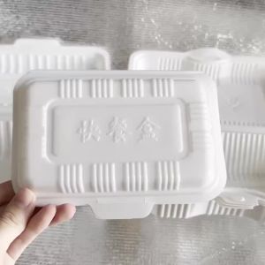 10/20 Chiếc Dùng Một Lần Hộp Cơm Trưa Bằng Nhựa Trắng Salad Bánh Sandwich Mang Đi Hộp Đựng Cho Nhà Bếp Tủ Lạnh Nhà Hàng Dã Ngoại Bảo Quản Thực Phẩm