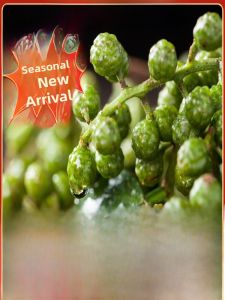  Jiangjin Green Sichuan Peppercorns Raw 350g Vacuum Packed Preservation Business Use Nine Leaf Green Peppercorns