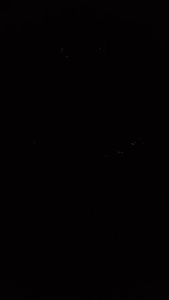 2 เส้น ไฟเดย์ไลท์ พร้อมไฟเลี้ยว Wave125i LED 2023 แบบวิ่ง 30/45/60cm เลี้ยงสี กลางวัน ไฟเนอร์และไฟน้ำตา LED