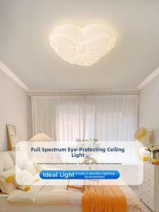 ZAGE | Full Spectrum Eye-Protective Bedroom & Study Ceiling Light