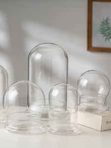 Preserved Fresh Flower Glass Cover Bell Jar Separates Bottle Transparent Cover Micro Landscape Plant Dust Cover Succulent Stuffy Nourishing Handy Gadget