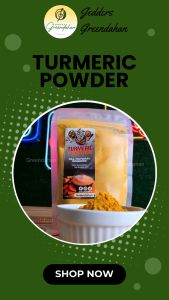 Greendahan Turmeric Powder (Pure) 100g