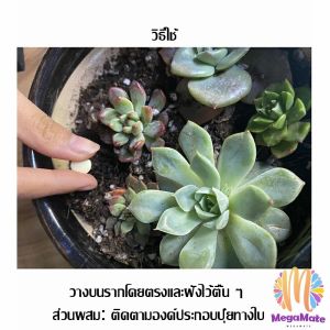 เม็ดกำจัดเพลี้ย  ไม่ทำร้ายพืช ยากำจัดสัตรูพืช  ปราศจากฮอร์โมน ปรับปรุงดิน