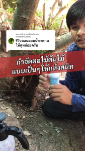 ยาฆ่าต้นไม้ใหญ เข้มข้นสุด 200ml 1ขวดเท่ากับ20ขวด ยาฆ่าตอต้นไม้ ตรงไปที่ราก รากเน่ารากตาย ยาฆ่าตอไม