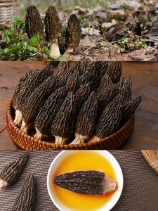 NẤM BỤNG DÊ KHÔ CAO CẤP VÂN NAM 45GRAM MẸ SỮA