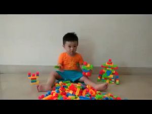 Building Blocks Brick Toys for Children Development