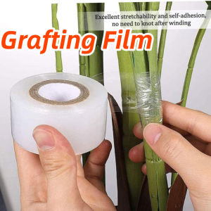 1Roll Grafting Tape Stretchable Grafting Tapes Grafting Film Plant Parafilm Tape Biodegradable Grafting Tape Grafting