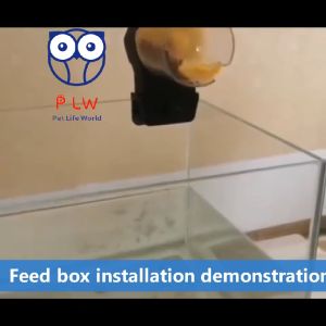 Fast Delivery Fish Feeder: Intelligent Timed Auto Pellet Feeder Control for 12 & 24 Hours Feeding