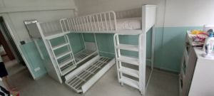 Loft bed/bunk bed/pull out bed customize singapore