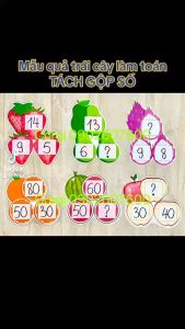 MẪU QUẢ TRÁI CÂY LÀM TOÁN TÁCH GỘP SỐ - Đồ dùng dạy học Corgi