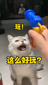 Pet Dog Cat Ball Launcher Toy Gun With Plush Ball Toys Mini Shooting Gun Interactive Cat Teaser