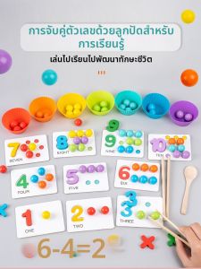 Montessori Intelligence Training Toy