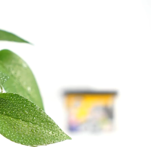 LAOGUANJIA Charcoal Dehumidifier 500ML | Dehumidifier Moisture Absorber 除濕盒 | 幹燥劑 防潮防霉