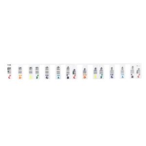 IRIN | Universal Silicone Piano Note Stickers for 61/88 Key Electronic Keyboard White Colored Key Strips Musical Instrument Labels
